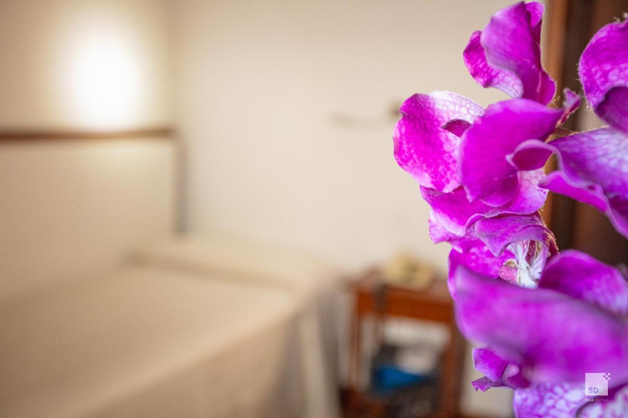 Hotel Blumen Collection By Gsa Hotels Bologna Bagian luar foto